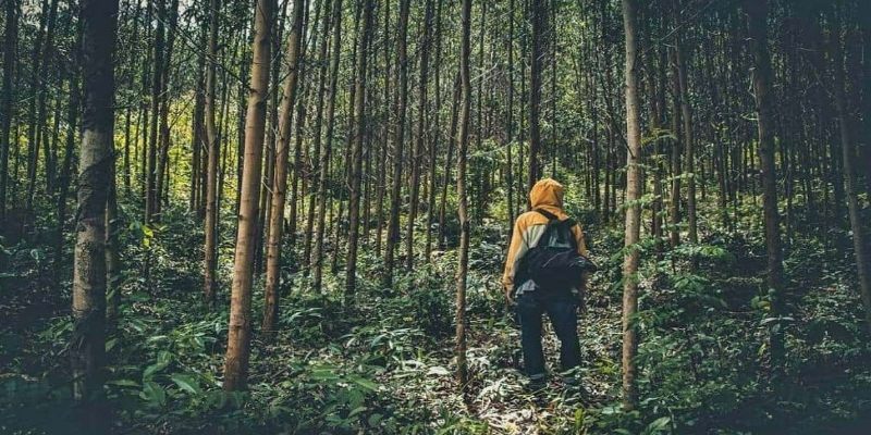 Mơ Thấy Đi Lạc Và Những Thông Điệp Từ Tiềm Thức 2026